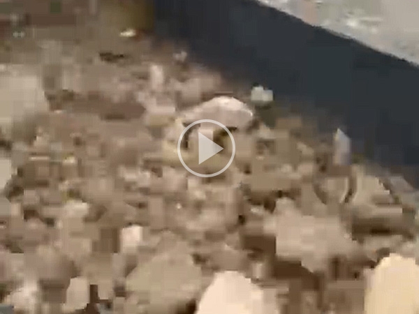 泥石分離機,泥石分離篩分設備